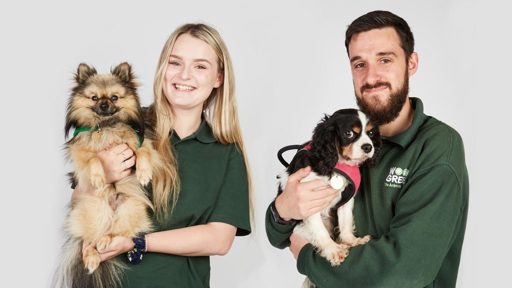 The Dog House Channel 4 UK VPN