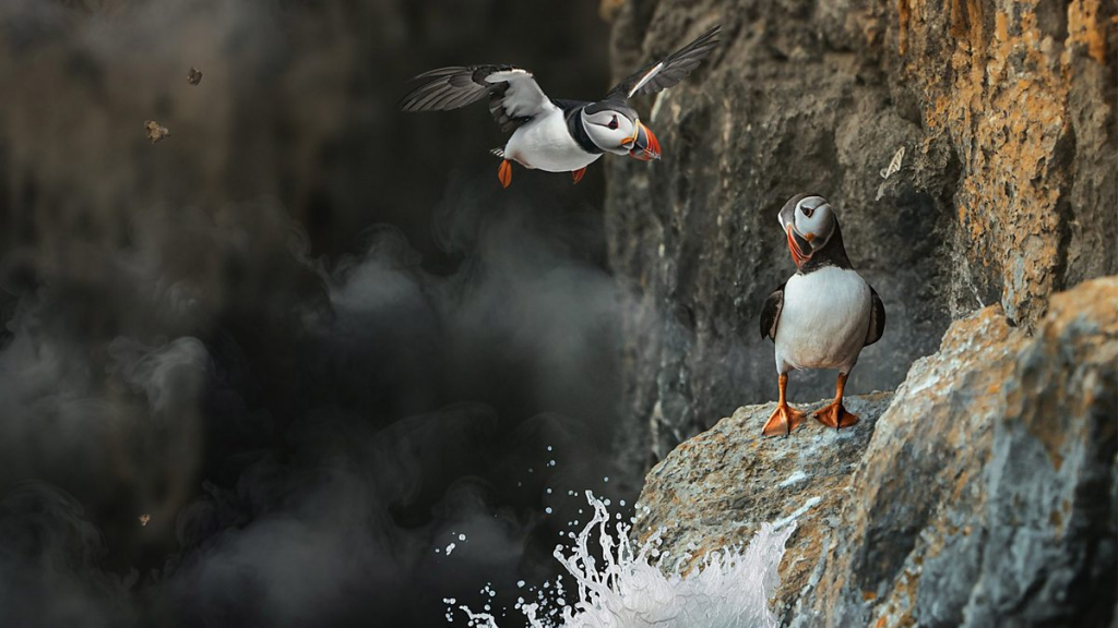 Inside Britain’s National Parks BBC iPlayer VPN