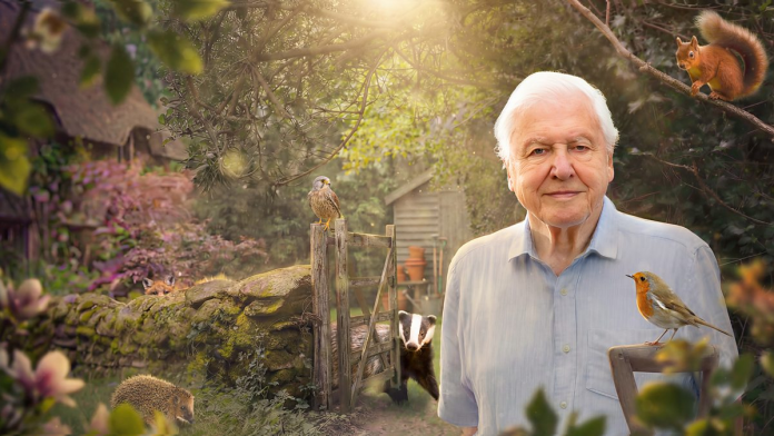 David Attenborough Secret Garden BBC iPlayer UK VPN